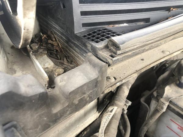Mitsubishi Pajero Sport 2019, фото 67