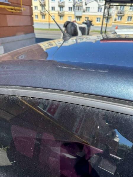 Citroen C4 2013, фото 7