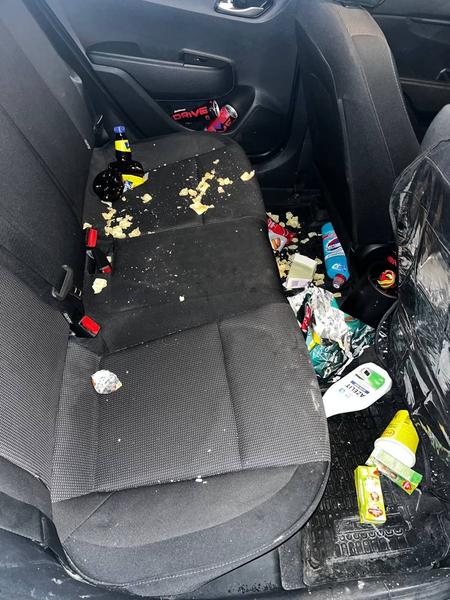 Kia Rio 2021, фото 3