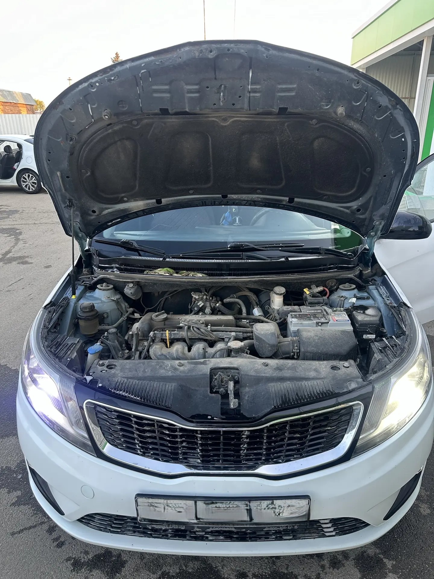Kia Rio