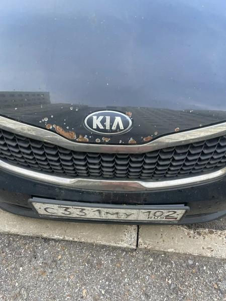 Kia Rio 2015, фото 4