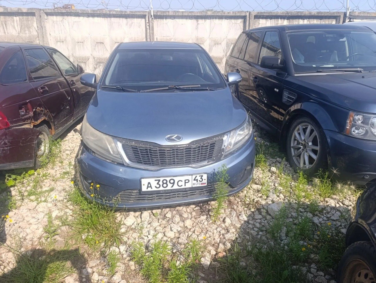 KIA Rio