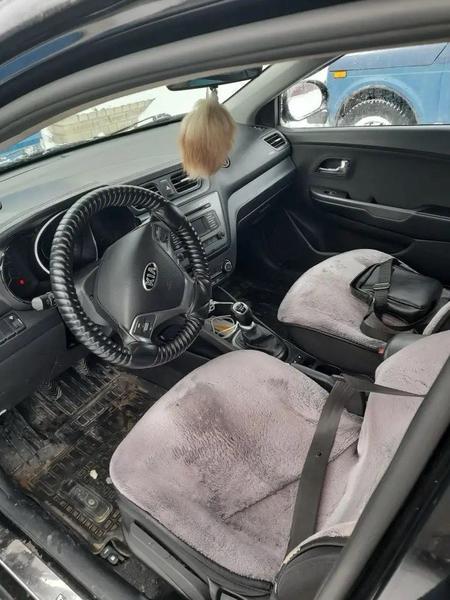 Kia Rio 2015, фото 8