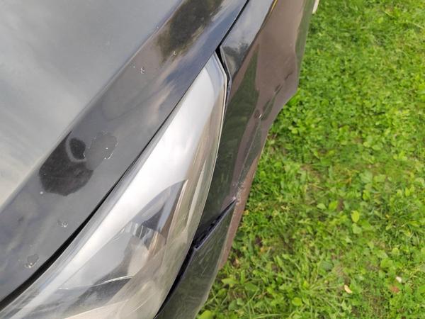 Hyundai Solaris 2015, фото 12