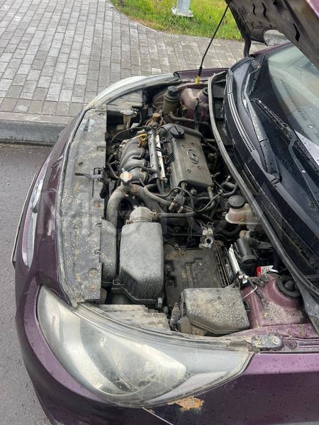 Hyundai Solaris 2012, фото 11