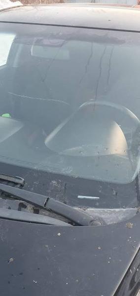 Hyundai Solaris 2012, фото 2