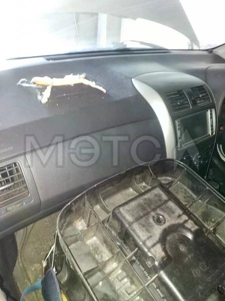 Toyota Corolla 2011, фото 9